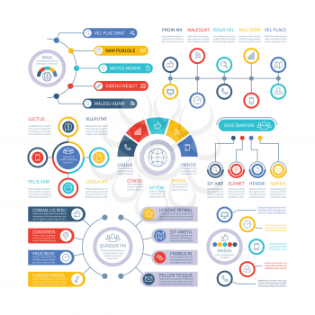 Infographic elements. Financial presentation infochart, marketing chart and bar diagrams. Option process graph and timeline vector set. Graph and diagram, marketing infochart, presentation infographic