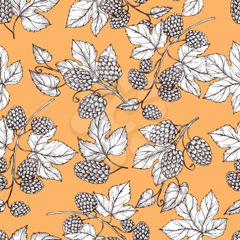 Hand drawn hop and foliage seamless pattern. Illustration of foliage and hop for brewery vintage pattern background