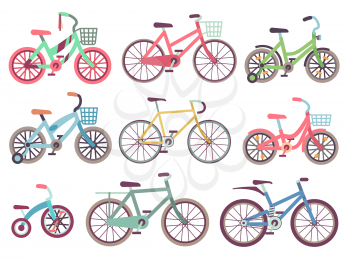 Urban family bikes flat vector set. Different bicycles collection. Urban bike and sport transport for family, transportation bicycle illustration
