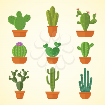 Cactus decorative home plant in pots flat vector icons. Cactus flora flower, flowerpot green and houseplant illustration