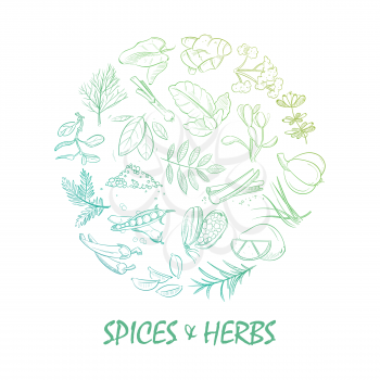 Hand drawn spice and herbs bright round concept design. Vector illustration