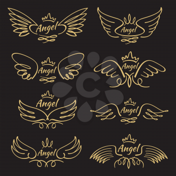 Elegant angel golden flying wings on black background. Flying angel with wing feather, golden linear winged, vector illustration