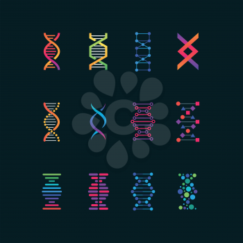 Human dna research technology symbols. Spiral molecule medical bio tech vector icons. Research chemistry and medicine, helix genetic genome illustration