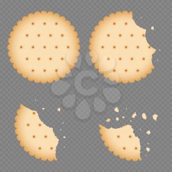 Bitten chip biscuit cookie, cracker isolated on transparent background. Vector illustration