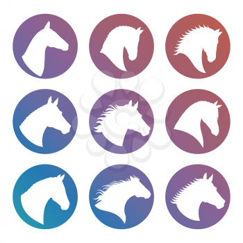 Horse heads white silhouettes in round icons set. Vector illustration