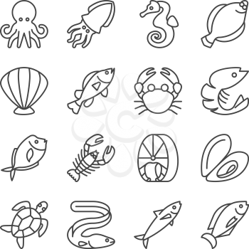 Fish and seafood line vector icons. Sea food and marine lobster linear, mussel and salmon illustration
