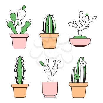 Vector hand drawn outline cactus in pots with color elements illustration