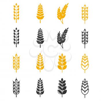 Black and yellow wheat ears silhouettes vector icons. Illustration of harvest grain of collection