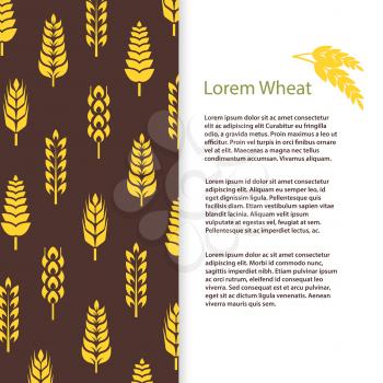Wheat ears bread banner or posters template. Grains flyer design. Vector illustration