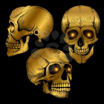 Hand drawn vector death scary human golden skulls on black background illustration isolated on black