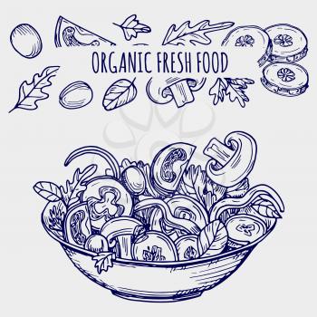 Hand drawn salad bowl and vegetables - ballpoint pen sketch healhty food vector illustration