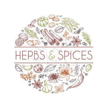 Herbs and spices background. Hand drawn asian food. Indian cooking herbs vector engraved style. Rosemary and cardamom, ginger and cinnamon illustration