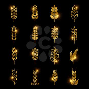 Golden wheat ears vector icons isolated on black background. Oat and barley, golden agriculture food illustration