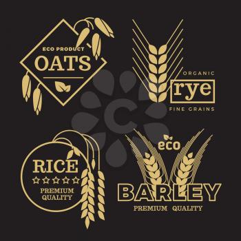 Gold organic wheat grain farming agriculture vector logo set on black background. Illustration of rice and barley, rye and on emblem