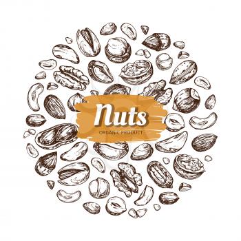 Eating nut label. Hand drawn nuts and seeds vector emblem isolated on white background. Natural drawing nutshell badge illustration
