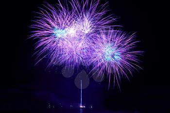 Blue colorful fireworks on the black sky background