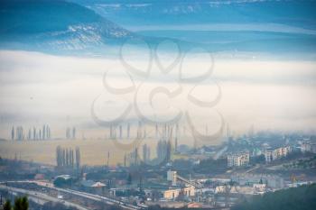 Misty town with trees and buildings against sunset