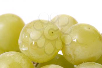 White grapes with water drops. Studio macro shot