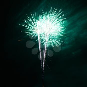 Green colorful fireworks on the black sky background