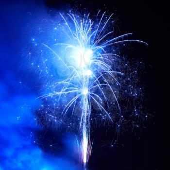 Blue colorful fireworks on the black sky background