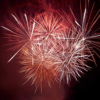 Red colorful fireworks on the black sky background. Holiday celebration.