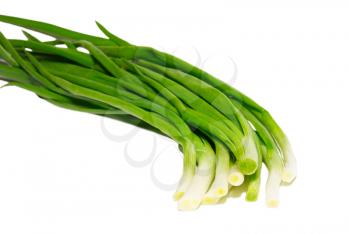 Green fresh onions isolated on white.