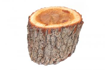 Wooden stump isolated on the white background.