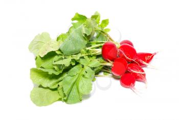 Bunch of red radish isolated on white.