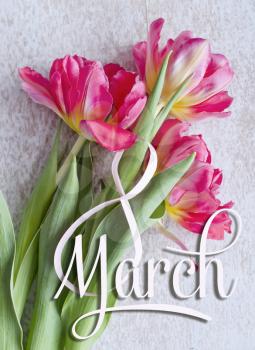 8 March, International Women's Day greeting card. White figure eight and a bouquet of three red tulips. Creative design for women's day.