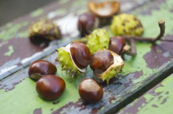 Autumn chestnuts on a wooden painted vintage grunge background with crackles. Horse chestnut - buckeye - for varicose veins.