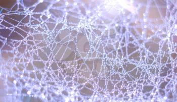 Close up of spider net with water drops. Macro dew drops on spider web.