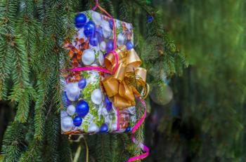 Multicolored gift with a golden bow on a Christmas tree.Holiday composition.
