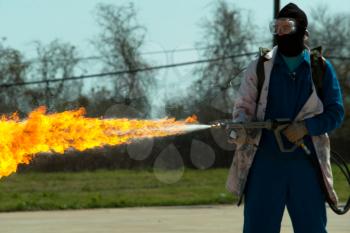 Flamethrower in action. a Flamethrower operational test.