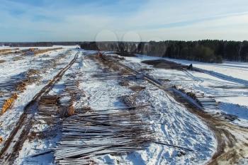 The felled trees lie under the open sky. Deforestation in Russia. Destruction of forests in Siberia. Harvesting of wood.