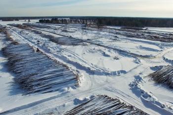 The felled trees lie under the open sky. Deforestation in Russia. Destruction of forests in Siberia. Harvesting of wood.