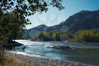 Beautifule blue river landscape with trees, Katun river, Altai Mountains, Russia