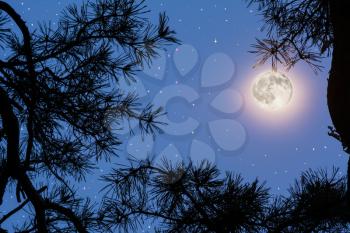 Full moon on the night sky. Full Moon. Moon and star. Night sky. Mystic moon.
