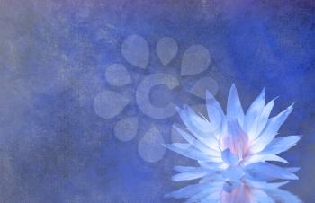 Lotus Blossom Textured Background