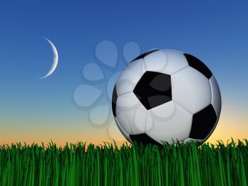 Soccer ball on grass