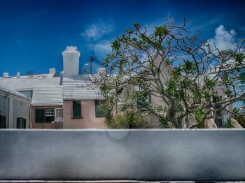 Street at Bermuda islands. Houses and big tree