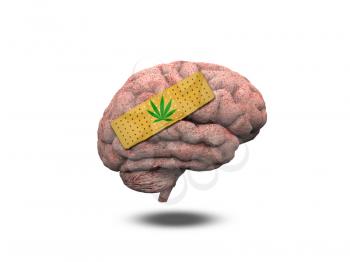 Wounded Brain with Marijuana Leaf