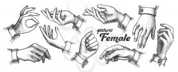 Collection of Different Gesture Set Vintage Vector. Female Woman Hand Gesture Looks Like Holding Cup Coffee Or Bag, Cigarette Or Violin, Balloon Or Umbrella. Monochrome Illustration