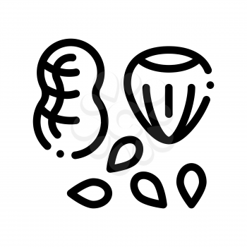 Assortment Healthy Food Nuts Vector Thin Line Icon. Bio Eco Nuts Peanut, Filbert Hazel-nut And Seeds Linear Pictogram. Organic Healthcare Vitamin Delicious Nutrition Monochrome Contour Illustration