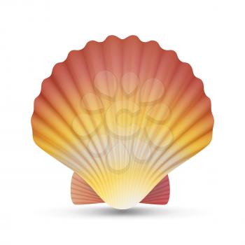 Scallop Seashell Vector. Beauty Exotic Souvenir Scallops Shell Isolated On White Background Illustration