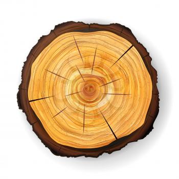 Cross Section Tree Wooden Stump Vector. Round Cut Annual Rings
