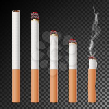 Cigarette Set Vector. Realistic Cigarette Butt. Different Stages Of Burn. Isolated Illustration. Burning Classic Smoking Cigarette
