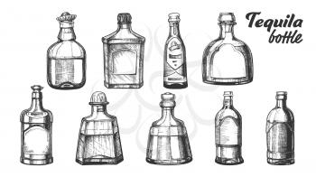 Stylish Collection Tequila Glass Bottle Set Vector. Sketch Of Different Design Modern And Vintage Bottle For Traditional Mexican Alcohol Drink. Bright Assortment Of Liquid Package Cartoon Illustration