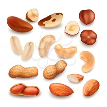 Nuts Delicious Natural Bio Nutrition Set Vector. Peanut And Brazil Nuts, Cashew And Hazelnut Fresh Food In Shell And Cut Pieces. Fresh Harvesting Seed Nutriment Template Realistic 3d Illustrations