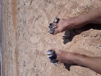 Female feet in the sand on the beach