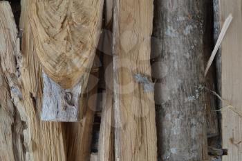 Texture of various wood species close-up